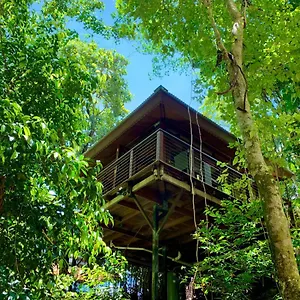  Resort Rainforest Retreat Australien